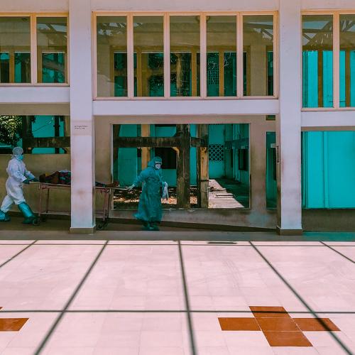 Photo #4585261