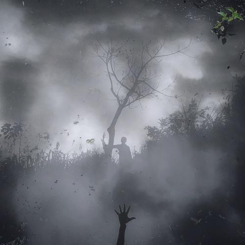 Photo #4585973