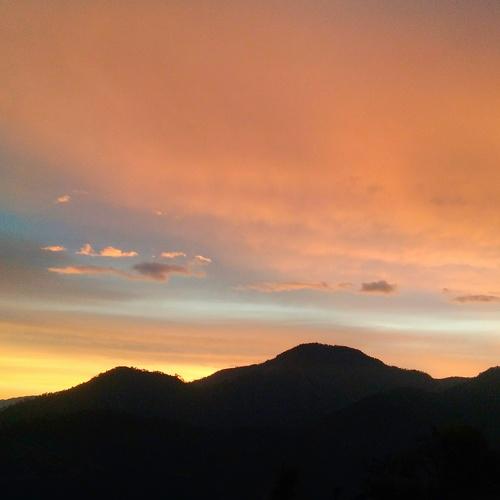 Photo #4586073