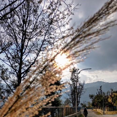 walk alone