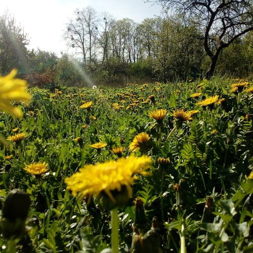 Photo #4586882