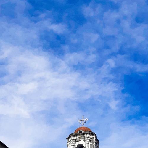 Photo #4586888