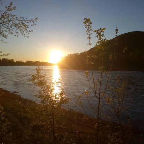 Photo #4586991