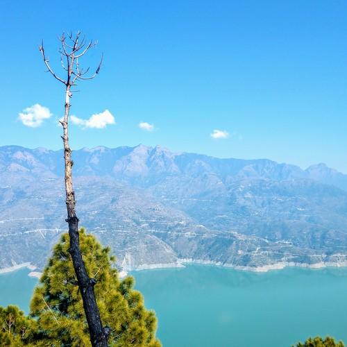 Photo #4587001