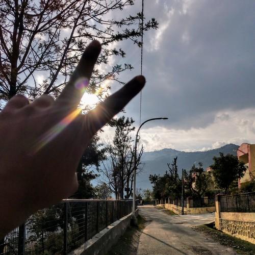 Photo #4587003