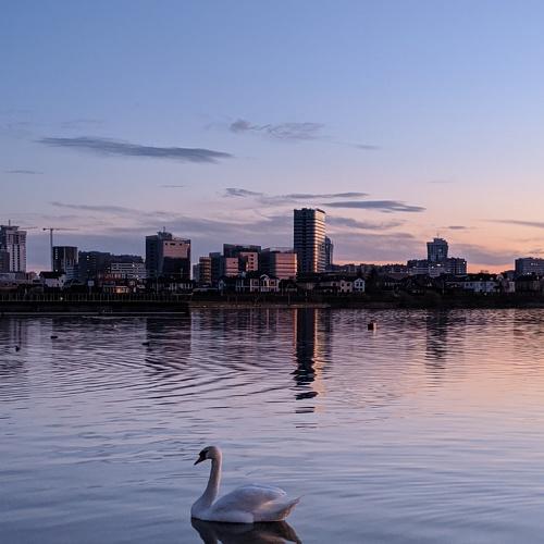Photo #4587476