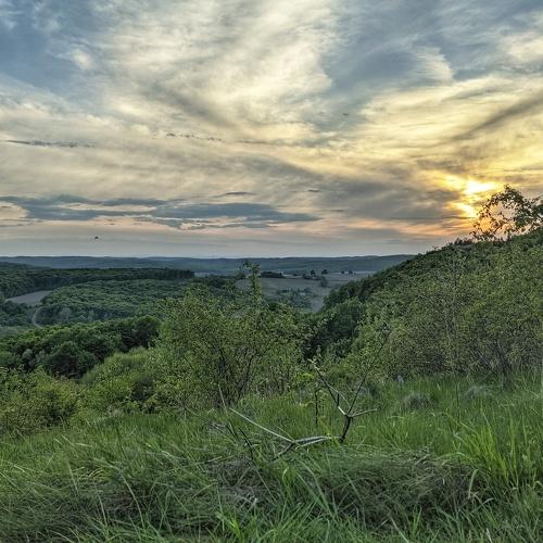 Photo #4587736