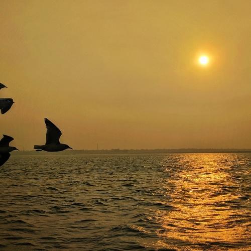 Photo #4587841
