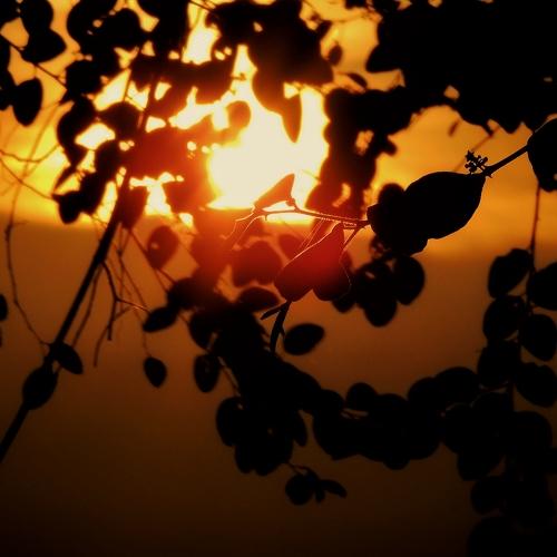 Photo #4587880