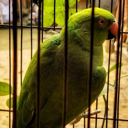 Photo #4587896