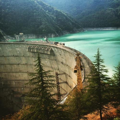 Photo #4587985