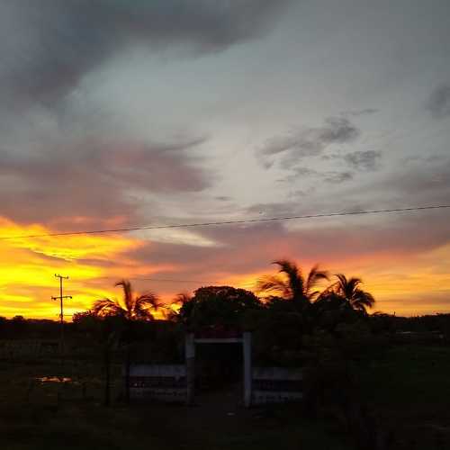 Photo #4588350