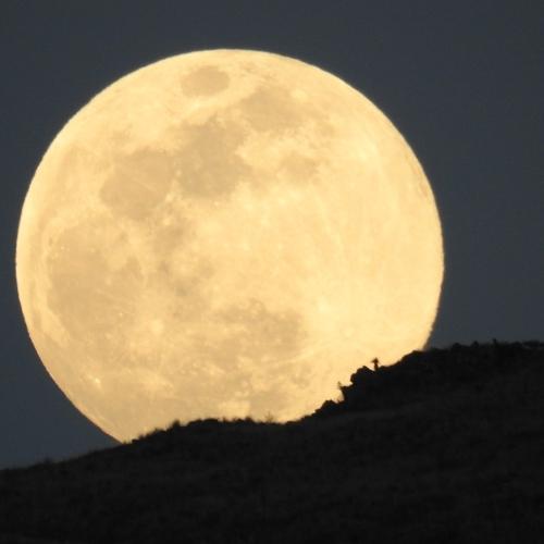 Photo #4588582