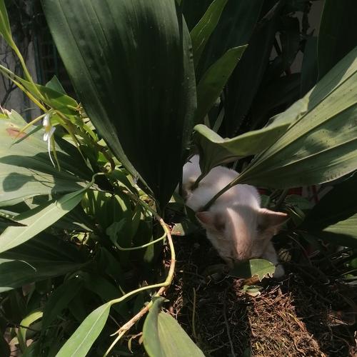 Photo #4588611