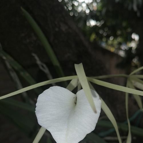 Photo #4588614
