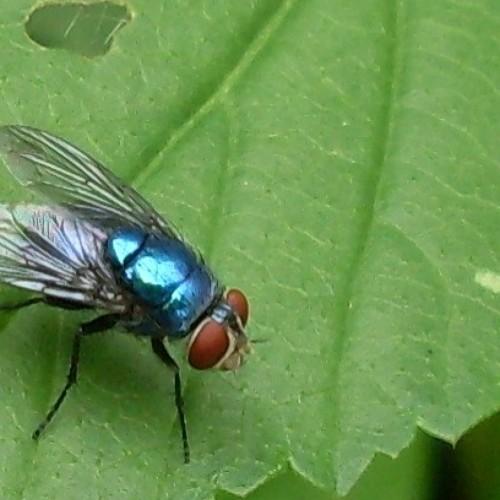 Photo #4588682