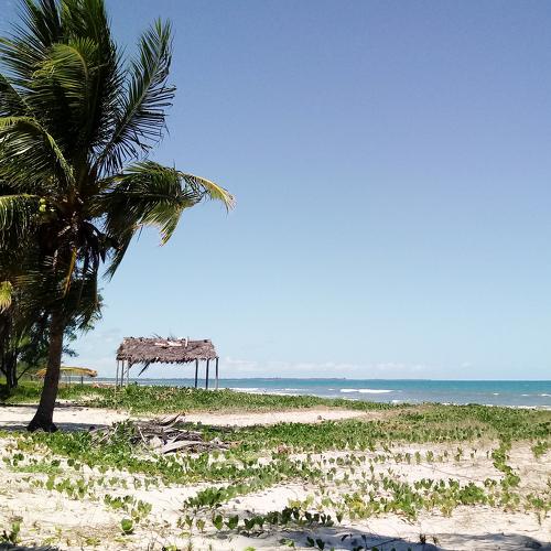 Photo #4588701
