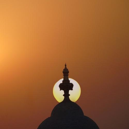 Photo #4588775