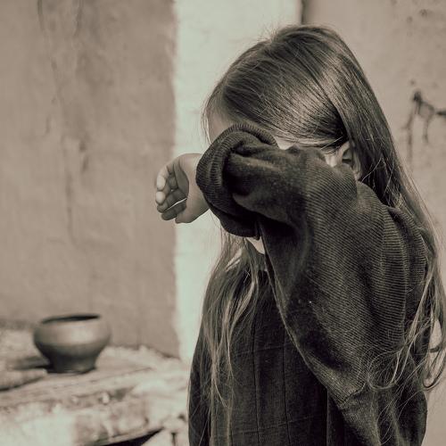 Photo #4588969
