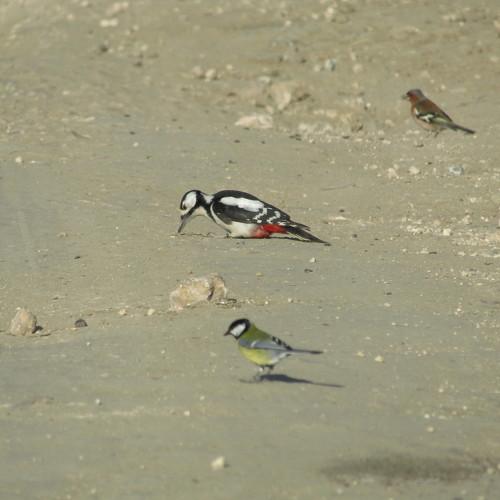 Photo #4589069
