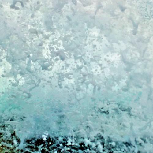 Photo #4589077