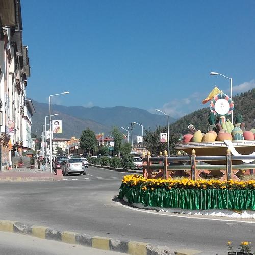 Photo #4589222