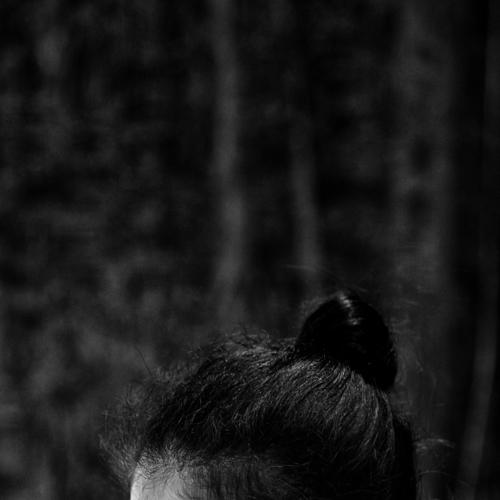 Photo #4589572