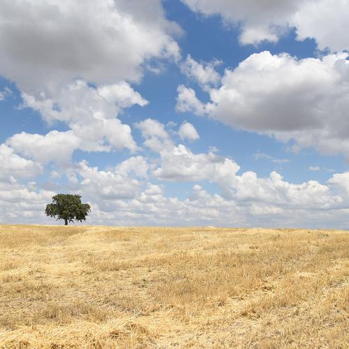 loneliness