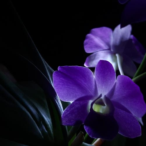 Beauty of Night life