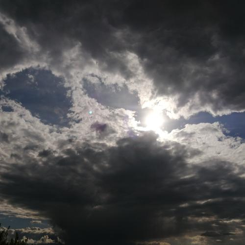 Photo #4589943