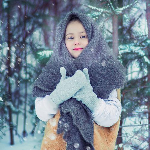 Photo #4590346