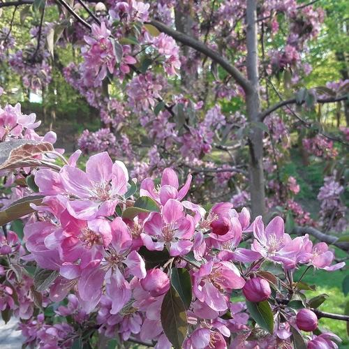 Photo #4590506