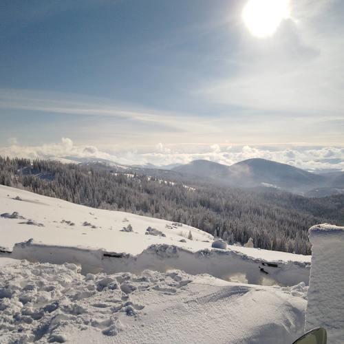 Photo #4590528