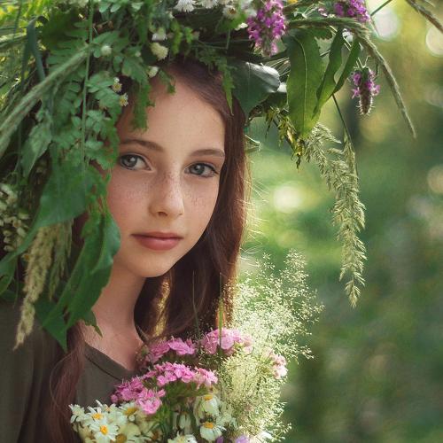Photo #4590791