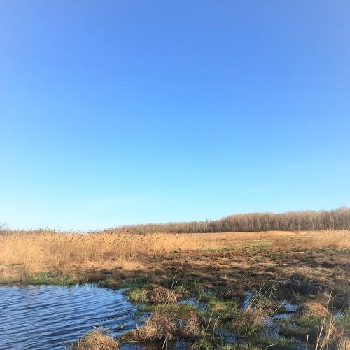 Photo #4590806
