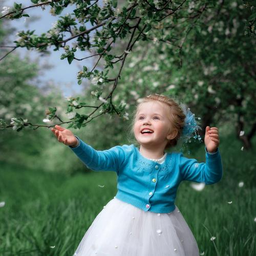 Photo #4590849