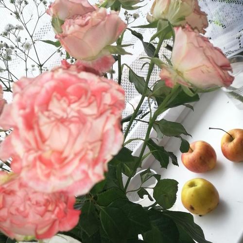 Photo #4591235