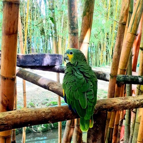 Photo #4591616