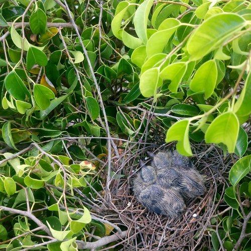 Photo #4592078