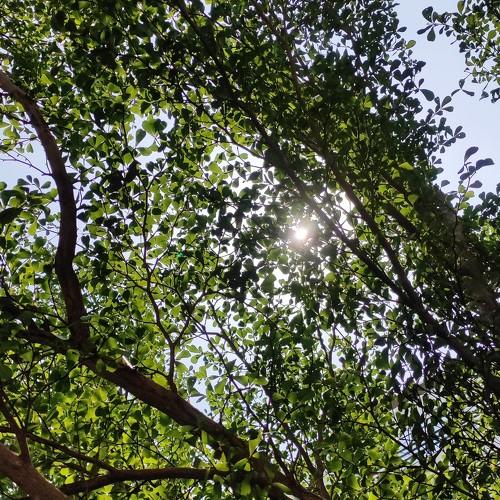 Photo #4592183