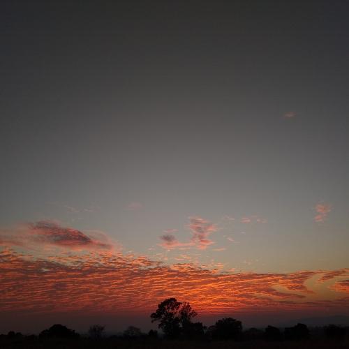 Photo #4592216