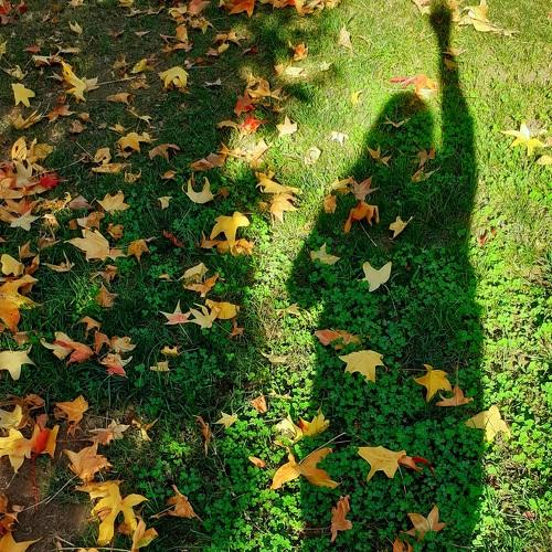 Photo #4592224