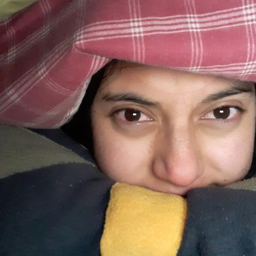 Photo #4592235