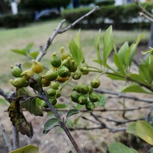 Photo #4592288