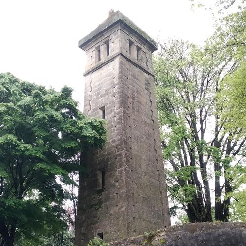 Photo #4592609