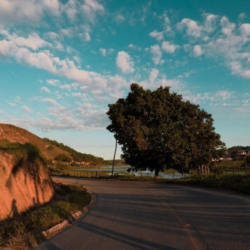 Sombras na estrada