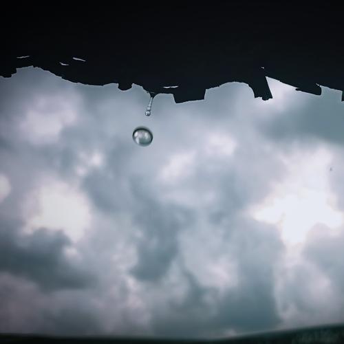 Rain Droplets..