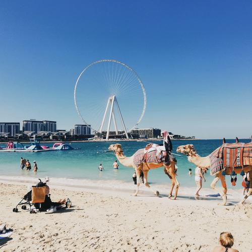 Photo #4592793