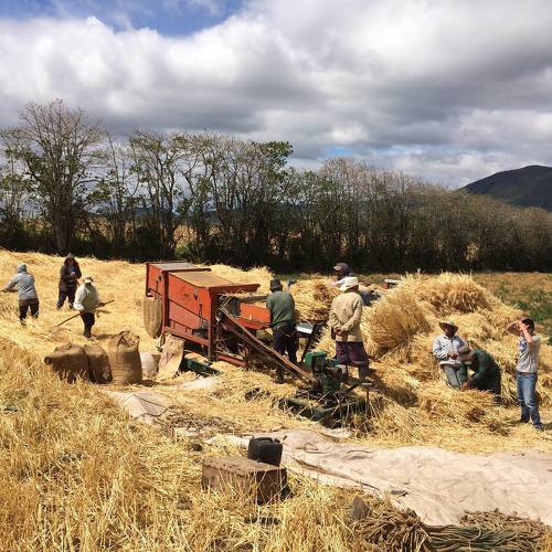 Photo #4592794