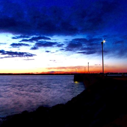 Photo #4592883